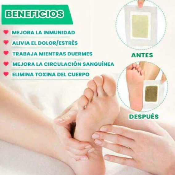 Kinber® Parches Detox Kinoki para Pies – 10/30 Unidades