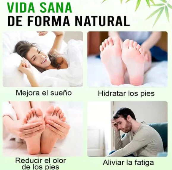 Kinber® Parches Detox Kinoki para Pies – 10/30 Unidades